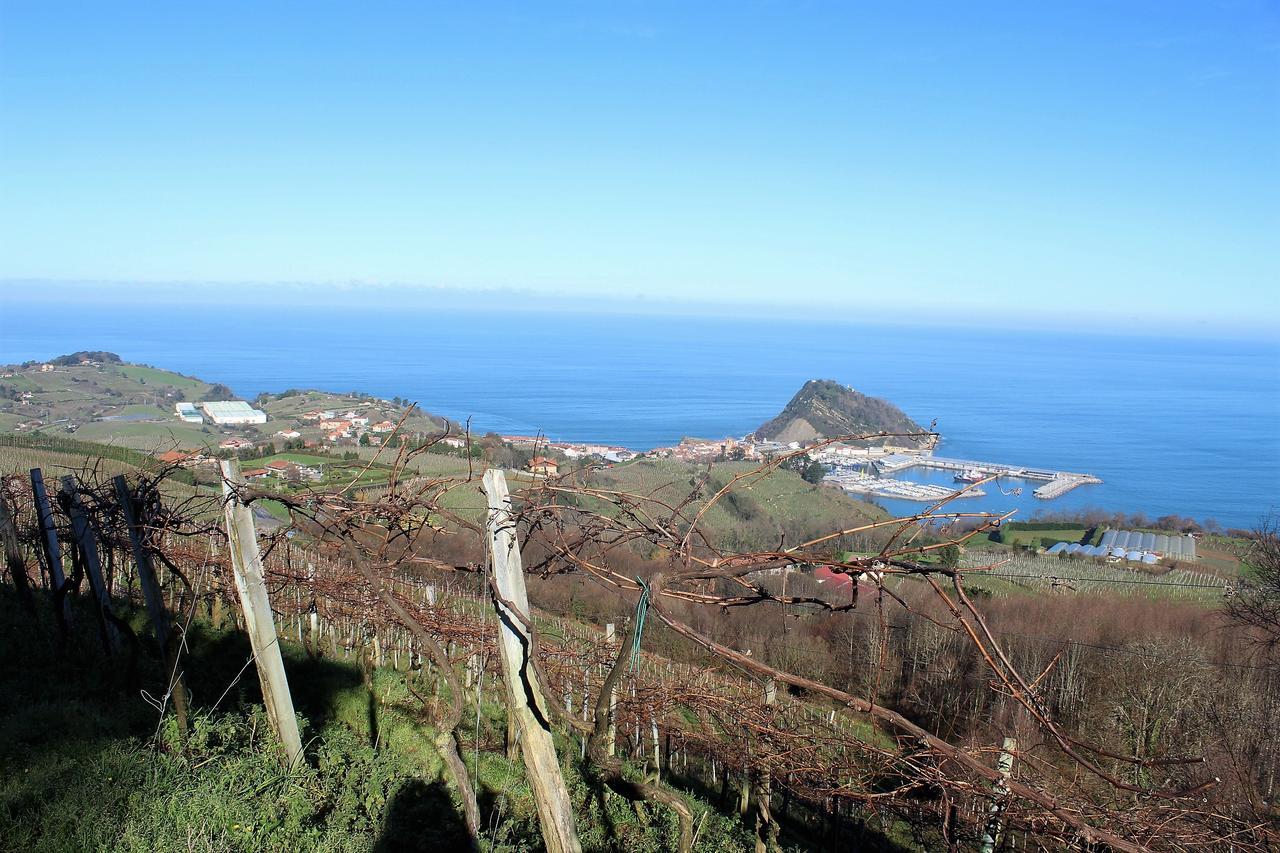 Gazteategi Panzió Zarautz Kültér fotó